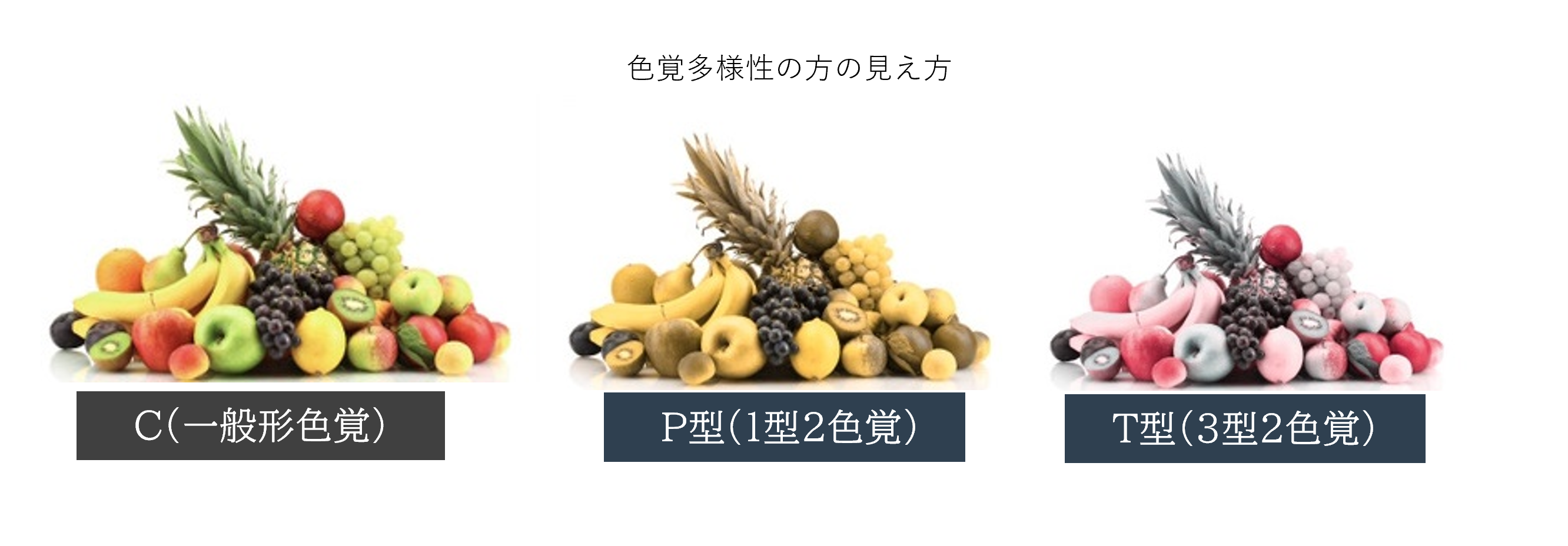 誰もが安心して歩けるために ― 色覚に配慮した安全な滑り止め対策 ―